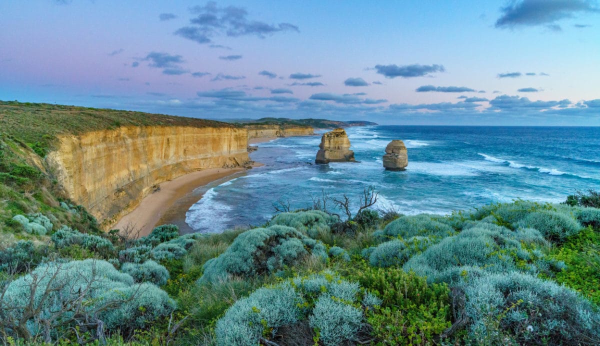 How nature-related disclosure will impact Aussie portfolios ...